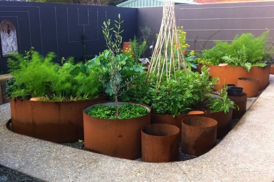 Growing-plants-in-corten-planters