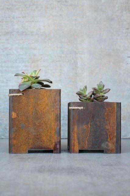 Corten Steel花播种机出售